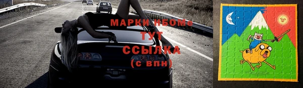 сатива Сатка