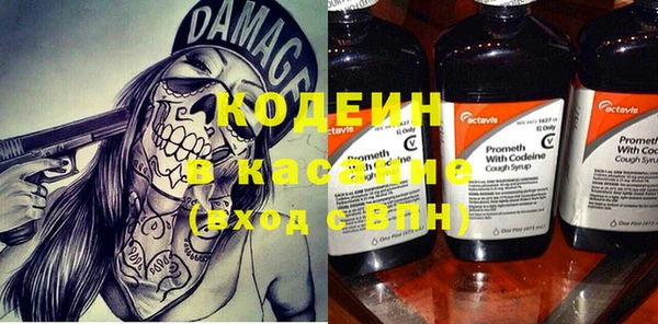 сатива Сатка
