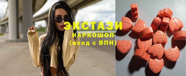 сатива Сатка
