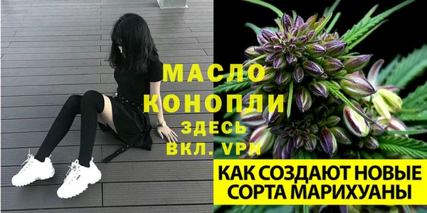 метадон Сафоново