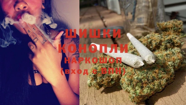 сатива Сатка