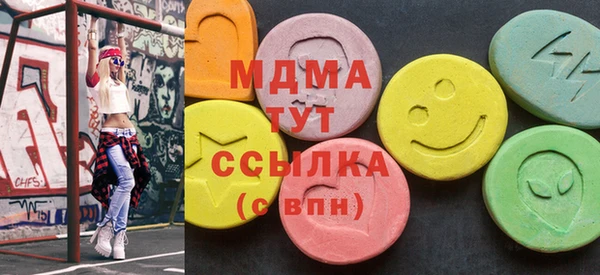 сатива Сатка