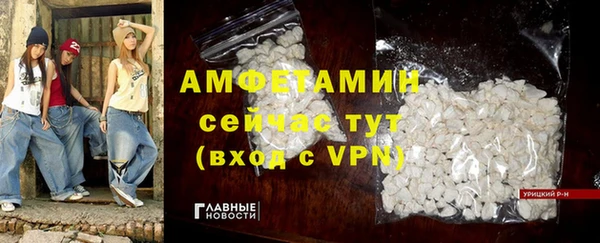 сатива Сатка