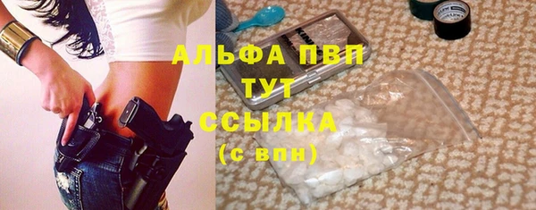 сатива Сатка