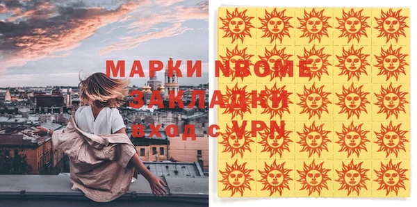 сатива Сатка