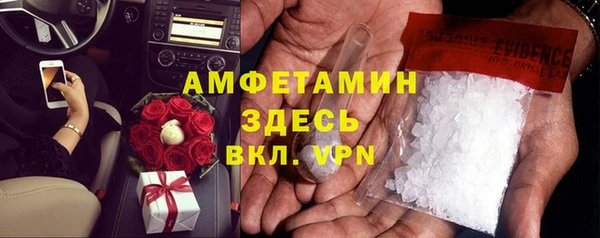 сатива Сатка