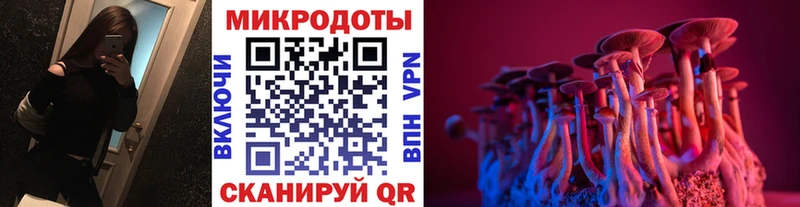 Псилоцибиновые грибы мицелий  Северобайкальск 