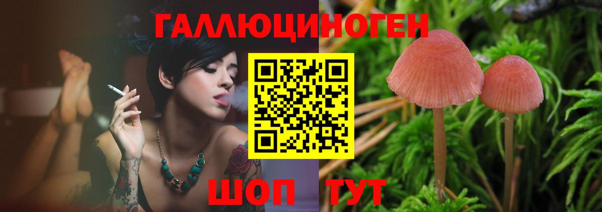 Северобайкальск  Галлюциногенные грибы ЛСД  купить наркотик  Вход с VPN 